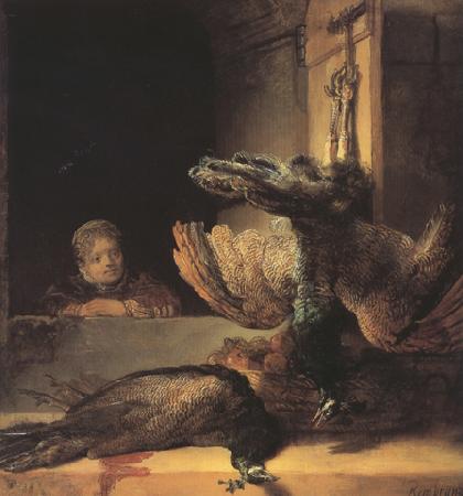 REMBRANDT Harmenszoon van Rijn Still life with two dead Peacocks and a Girl (mk33)